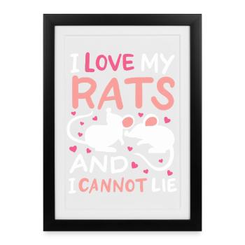 J’adore mes rats et je ne peux pas mentir design - Affiche encadrée (27 × 37 cm) - noir - Devant