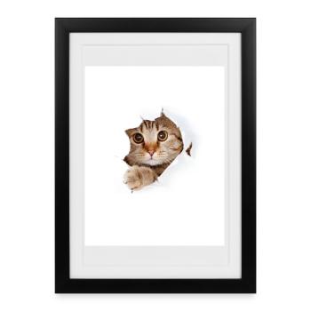 Chaton à coucou à travers une déchirure de papier - Affiche encadrée (27 × 37 cm) - noir - Devant