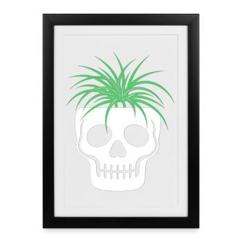 Crâne Crâne Botanique Terrarium Champignons Macabres - Affiche encadrée (27 × 37 cm) - noir - Devant