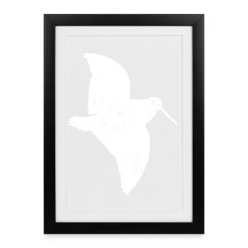 BECASSE - Affiche encadrée (27 × 37 cm) - noir - Devant