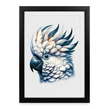 Perroquet cacatoès - Affiche encadrée (27 × 37 cm) - noir - Devant