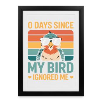 0 Days Since My Bird Ignored Me Bird Lover - Framed poster (27 × 37 cm) - black - Front