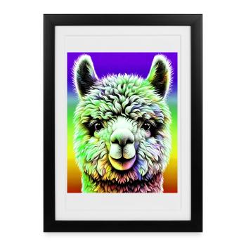 Alpaga - Affiche encadrée (27 × 37 cm) - noir - Devant