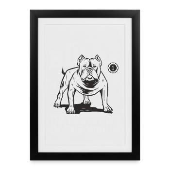 Bouledogue américain - Affiche encadrée (27 × 37 cm) - noir - Devant