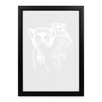 ring-tailed lemur - Framed poster (27 × 37 cm) - black - Front