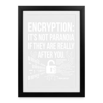 Encryption Paranoia Design - Framed poster (27 × 37 cm) - black - Front