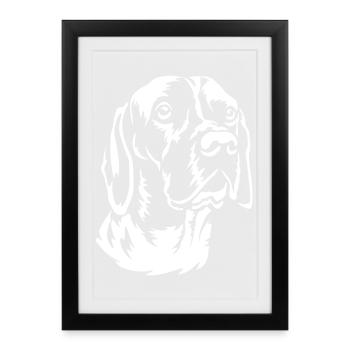 Gammel Dansk Honsehond « Tête « Édition Noire » - Affiche encadrée (27 × 37 cm) - noir - Devant