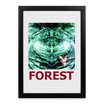 Reflet de la forêt et papillon - Affiche encadrée (27 × 37 cm) - noir - Devant