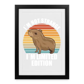 Motif animalier du zoo de Capybara - Affiche encadrée (27 × 37 cm) - noir - Devant
