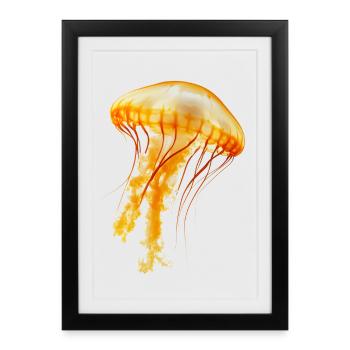 Living jellyfish in the ocean are fascinating animals - Framed poster (27 × 37 cm) - black - Front