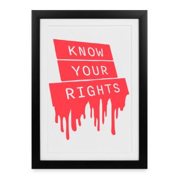 Know Your Rights Activism Justice Freedom - Framed poster (27 × 37 cm) - black - Front