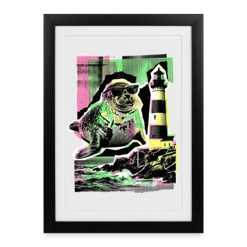 Cool seal North Sea Baltic Sea - Framed poster (27 × 37 cm) - black - Front