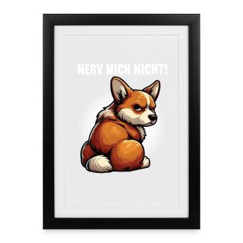 Nerv Mich Nicht Corgi Corgis Welsh Corgi Corgihund - Gerahmtes Poster (27 × 37 cm) - Schwarz - Vorne