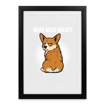 Nerv Mich Nicht Corgi Corgis Welsh Corgi Corgihund - Gerahmtes Poster (27 × 37 cm) - Schwarz - Vorne