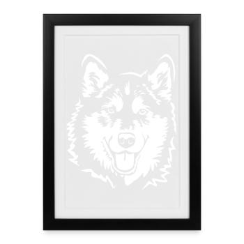 Alaskan Malamute head "Black Edition" - Framed poster (27 × 37 cm) - black - Front