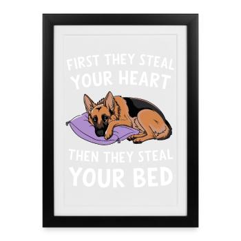 German Shepherd Steals Heart and Bed - Framed poster (27 × 37 cm) - black - Front