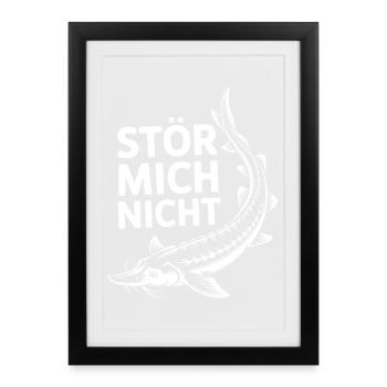 Motif de poisson Don’t Disturb Me - Affiche encadrée (27 × 37 cm) - noir - Devant