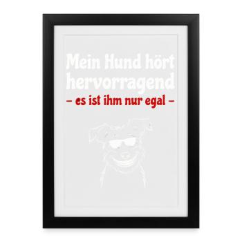 Dog hears excellently - dog with sunglasses - Framed poster (27 × 37 cm) - black - Front