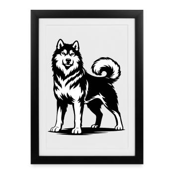 Alaskan Malamute in a proud pose - Framed poster (27 × 37 cm) - black - Front