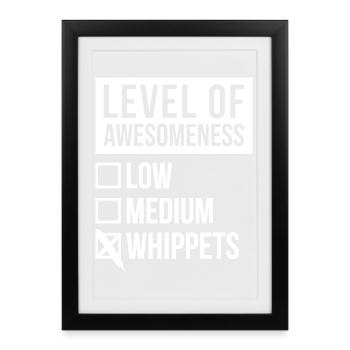 Whippet Whippet Whippet - Gerahmtes Poster (27 × 37 cm) - Schwarz - Vorne
