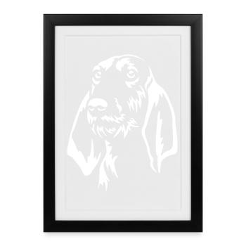 Segugio Italiano Head « Édition Noire » - Affiche encadrée (27 × 37 cm) - noir - Devant