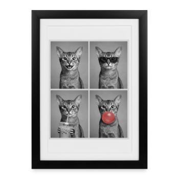 Cats Abyssinian Cat - Framed poster (27 × 37 cm) - black - Front