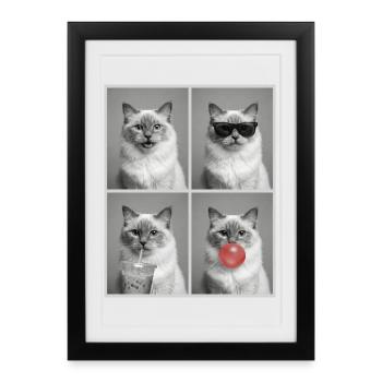 Cats Sacred Birman Cat - Framed poster (27 × 37 cm) - black - Front