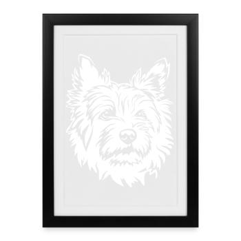 Tête de Cairn Terrier "Black Edition - Affiche encadrée (27 × 37 cm) - noir - Devant