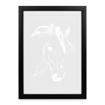Fjord Horse, Norwegian Fjordi - Framed poster (27 × 37 cm) - black - Front