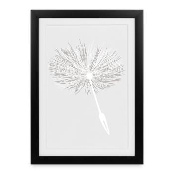 Loewentooth Seeds Pusteflower - Framed poster (27 × 37 cm) - black - Front