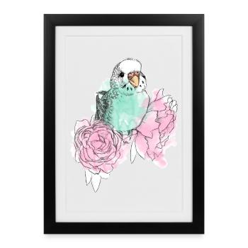 Budgerigars and peonies - Framed poster (27 × 37 cm) - black - Front