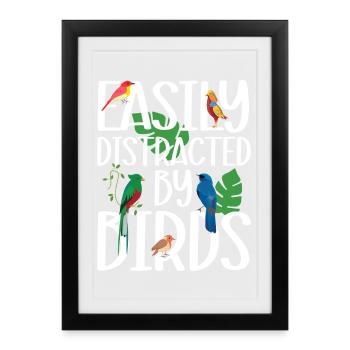 Facilement distrait par les oiseaux - Affiche encadrée (27 × 37 cm) - noir - Devant