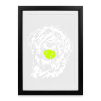 Briard Ball Balljunkie Chiens Wilsigns - Affiche encadrée (27 × 37 cm) - noir - Devant