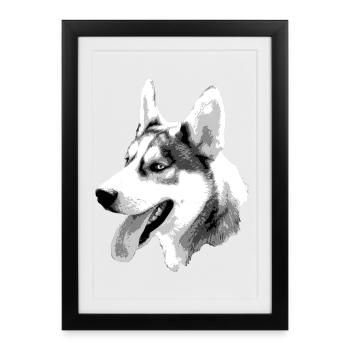 Husky Head Contrast Drawing - Framed poster (27 × 37 cm) - black - Front