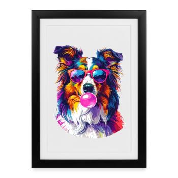 Colorful Sheltie with sunglasses and bubblegum - Framed poster (27 × 37 cm) - black - Front