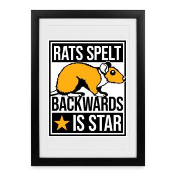 Rats Orthographié à l’envers est Star Lustiger Ratte Spruch - Affiche encadrée (27 × 37 cm) - noir - Devant