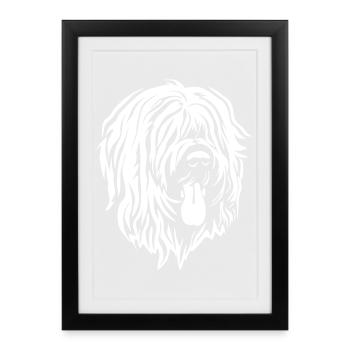 Tête Briard "Black Edition" - Affiche encadrée (27 × 37 cm) - noir - Devant