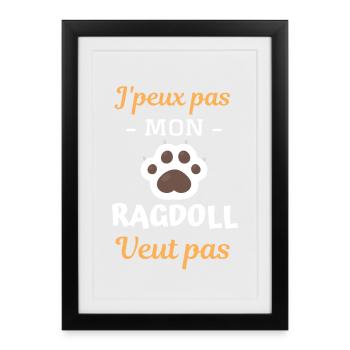 Race de chat ragdoll - Affiche encadrée (27 × 37 cm) - noir - Devant
