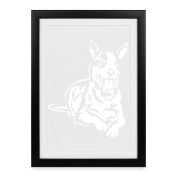 Australian Cattle Dog "Black Edition" - Framed poster (27 × 37 cm) - black - Front
