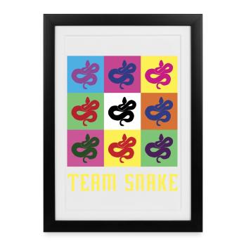 Team Snake - Affiche encadrée (27 × 37 cm) - noir - Devant