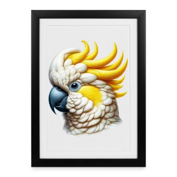 Perroquet cacatoès - Affiche encadrée (27 × 37 cm) - noir - Devant