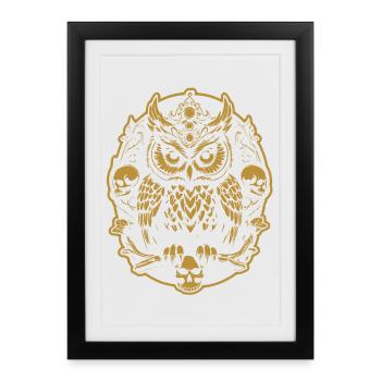 Mystic Owl Sitting on a Skull - Framed poster (27 × 37 cm) - black - Front