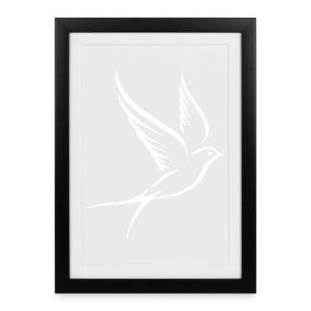 Bird Pigeon - Framed poster (27 × 37 cm) - black - Front