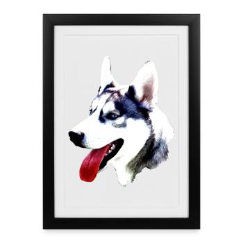 Husky head with red tongue - Framed poster (27 × 37 cm) - black - Front