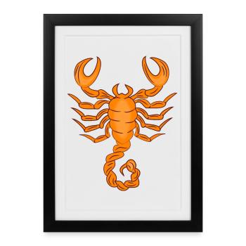 Signe du zodiaque Scorpion - Affiche encadrée (27 × 37 cm) - noir - Devant