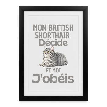Mon British Shorthair Décide, J’obéis - Affiche encadrée (27 × 37 cm) - noir - Devant