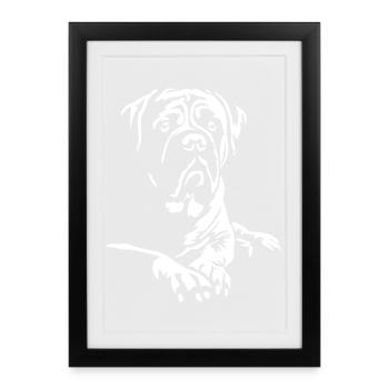 Bullmastiff « Édition noire » - Affiche encadrée (27 × 37 cm) - noir - Devant