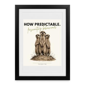 How Predictable Funny Meerkat - Gerahmtes Poster (27 × 37 cm) - Schwarz - Vorne