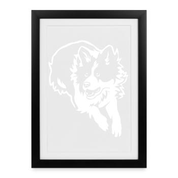Border Collie "Black Edition" - Framed poster (27 × 37 cm) - black - Front