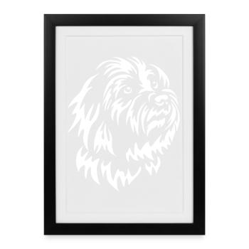 Coton de Tuléar Head « Black Edition » - Affiche encadrée (27 × 37 cm) - noir - Devant